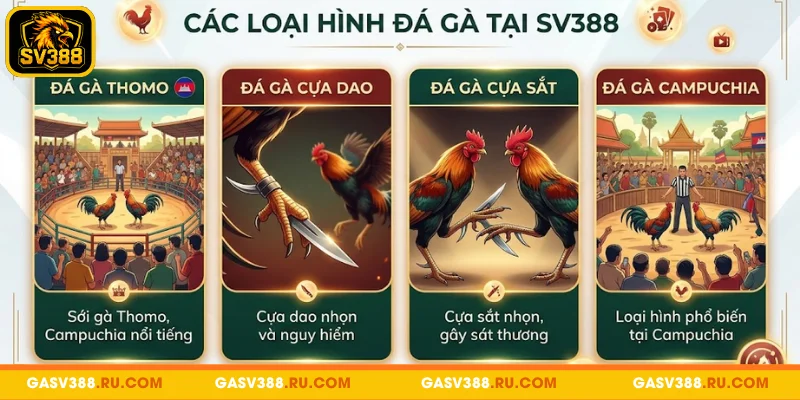 Danh sách loại hình đá gà tại SV388