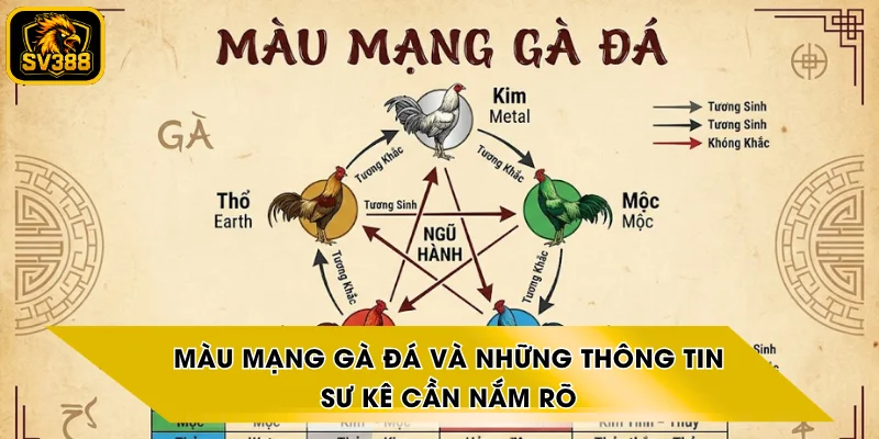 Màu Mạng Gà Đá Và Những Thông Tin Sư Kê Cần Nắm Rõ
