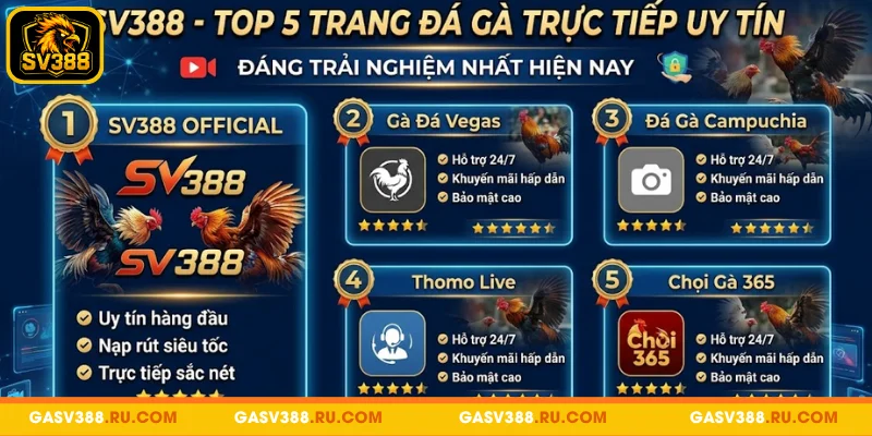 SV388 - Top 5 trang đá gà trực tiếp uy tín, đáng trải nghiệm